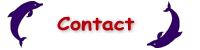 Contact Header